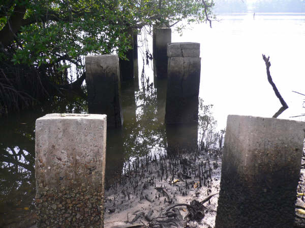 福州垦殖民登陆处